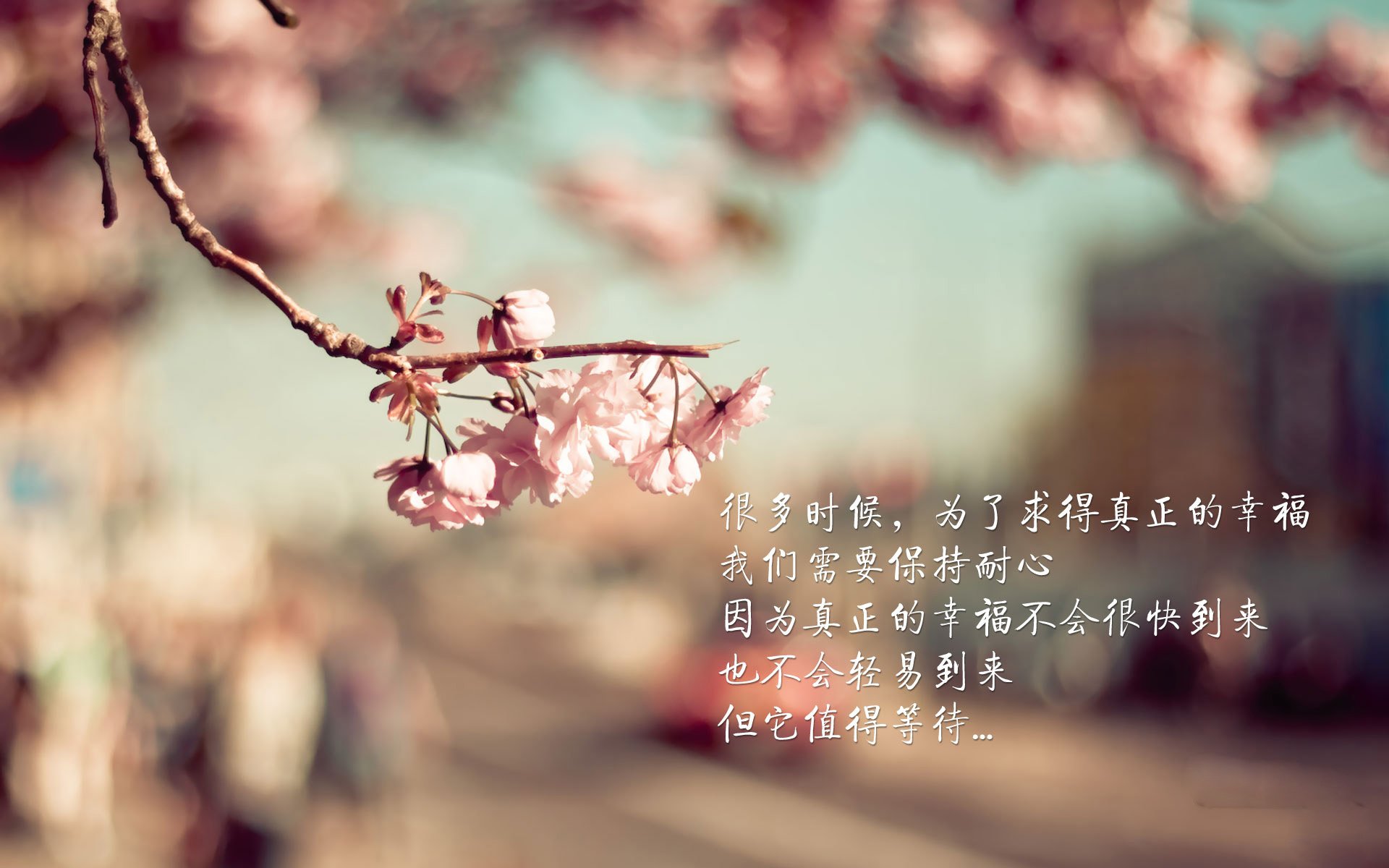 中超边前卫横向移动效率分析，中超边锋