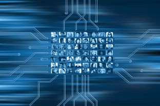 中国九游体育-NBA球队市场营销数字化转型实践探索，nba营销模式