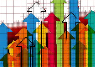 中国九游体育-NBA球队粉丝忠诚度培养与营销策略,nba粉丝叫什么