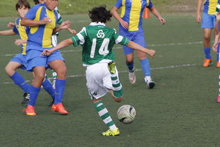 九游游戏中心下载-中国足球外援依赖度趋势分析，中国足球外援依赖度趋势分析图