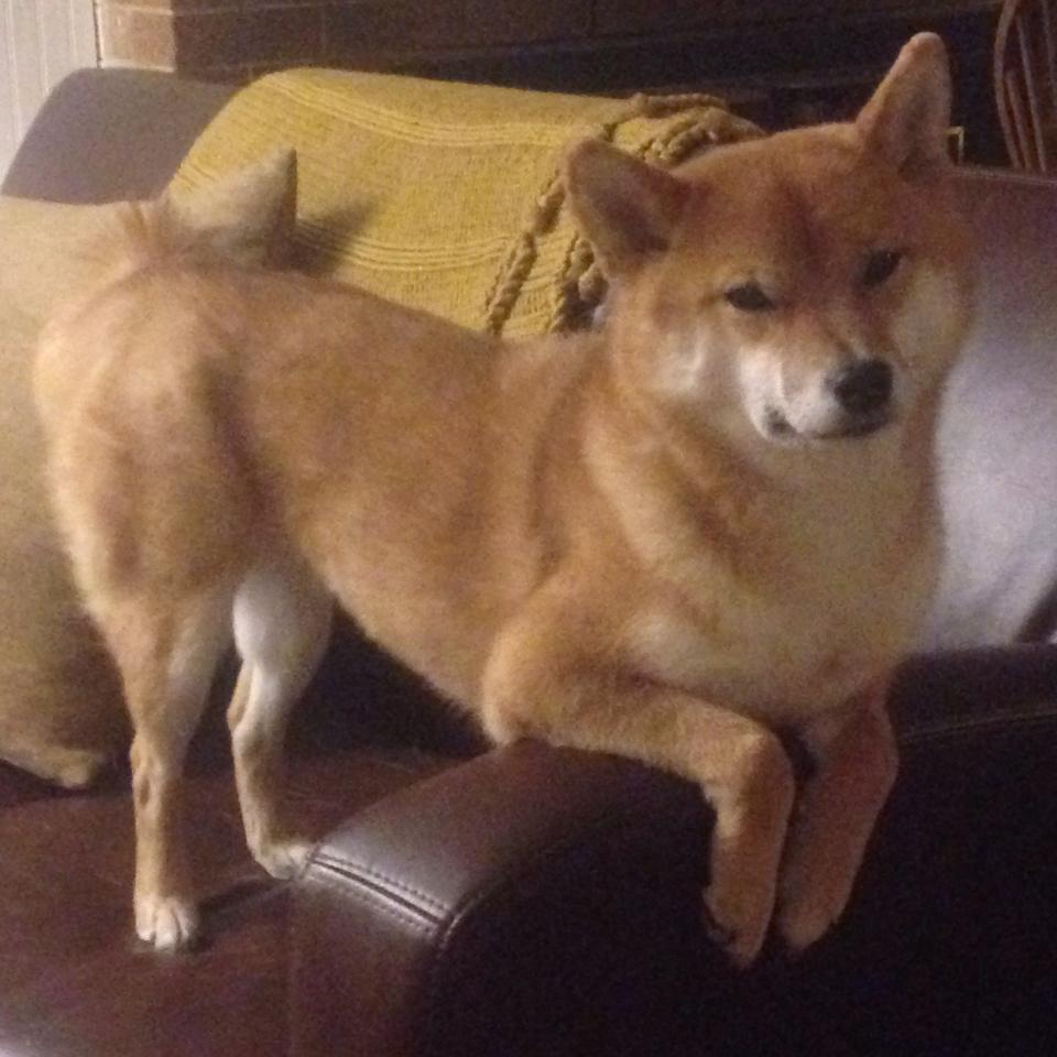 九游社区-体育产业融资环境优化，体育产业融合的效应与方式有哪些